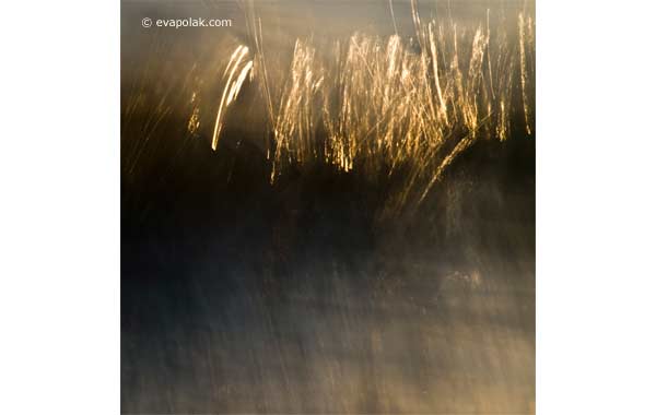 Sculptured by tide abstract water